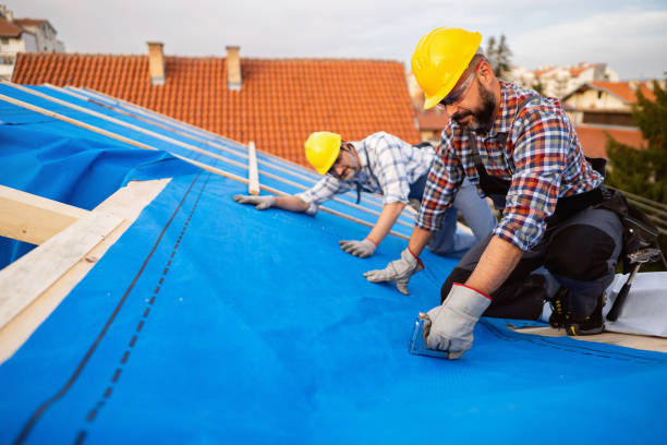 Best Roof Leak Repair  in Foscoe, NC