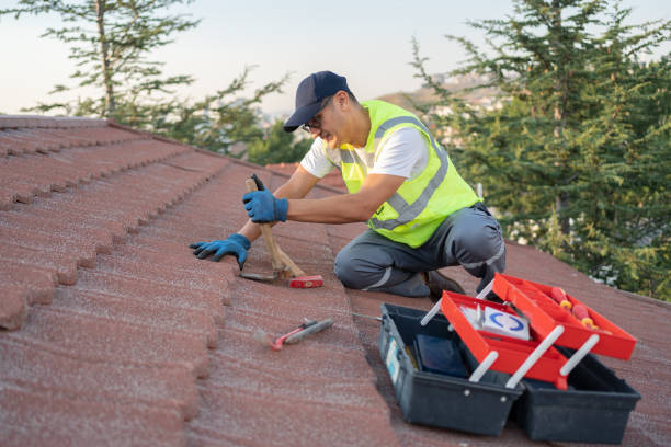 Best Roof Gutter Cleaning  in Foscoe, NC