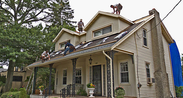 Best Local Roofing Companies  in Foscoe, NC